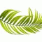 http://www.bcch.kr/data/member_image/bc/bcch.gif